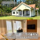 올이유 펜션 | 서해 태안 오션뷰 독채 펜션 까사솔피노 가족 단체 감성 숙소 추천