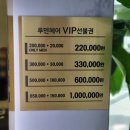 루덴헤어 이미지