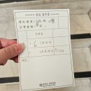 멍때려 | 시험관 동결이식 1차 이식 후기 주의사항 크녹산 멍 안들게 맞기