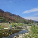 신흥환경 이미지