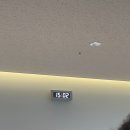 오키나와 온열센타 | 2024년 11월 일본 오키나와 (1)