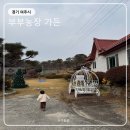 부부가든 | 여주 아울렛, 곤충박물관 근처 | ‘부부농장가든’ 오리불고기 맛집 아이랑 가기 좋은 식당 추천