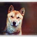 고대범농장 이미지