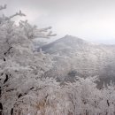 천지산악회 제119차 1월 정기산행 안내 이미지