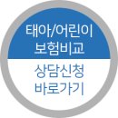 놀이터에서 놀다가 기둥에 머리를 박아 응급실 내원 실비청구[태아/어린이보험] 이미지