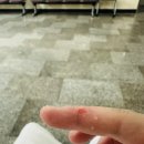 양식조리기능사 12회 서울 휘경동자격시험장 실기 합격 후기