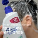 비듬으로 가려운 두피 케어 헤드앤숄더 쿨멘솔 샴푸 후기