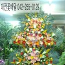 대전꽃도매 - 9753 | 대전꽃도매