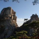 느티나무사거리 이미지