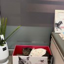 신길 온동물병원 이미지