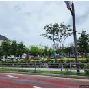 동삭초교 앞 이미지