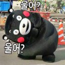 ㅠㅠ