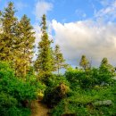 5/3 베트남 사파 - 함종산 이미지