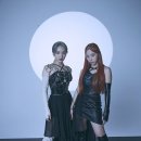 프림로즈 카카오 검색결과