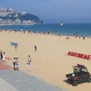 해운대해수욕장 이미지