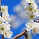 미소심리상담센터 이미지