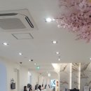 본정형외과병원 | 송도 삼성본프라임 정형외과 방문 후기 아들 거북목과 골반 통증 진료받고 온 날