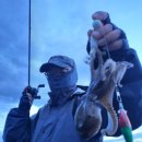 현주바다낚시(하하호호) 이미지