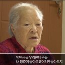 수원-1993 이미지