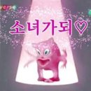 주먹생고기 네이버블로그