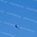 그리스에서 목격된 RQ-180? 이미지