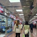 블루원청도 | 타오름달 스물아흐레