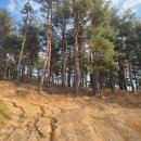 설악IC공인중개사사무소 이미지