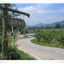 배로농원 이미지