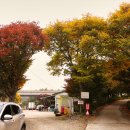 극동낚시터 이미지