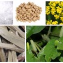 평안온누리약국 이미지