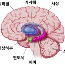 경희미한의원 이미지