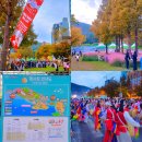 학동 선소 퓨전 음식거리 | 여수 동동북축제 주말 아이와 갈만한곳 체험 주차