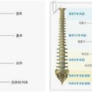 이엔아이스포츠