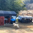 명호관점 티스토리
