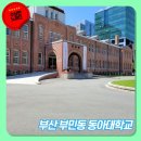 동아대학교 석당글로벌 하우스 | 부산 동아대학교 부민캠퍼스 방문 후기