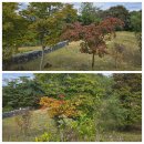 호명해와달 이미지