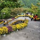 갓바위로 이미지