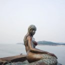 너랑노랑 | 장봉도 여행 배시간, 트래킹코스, 펜션까지 알아보자!