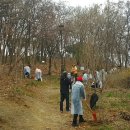 가족나무 이미지