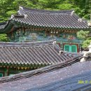 낙동강횟집 - 의령군 마산로 100 | 낙동강횟집