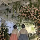 새미곡 | W. 26 | 엘파소 하우스 웨딩 본식 후기&amp;식순˚୨୧⋆｡˚ ⋆