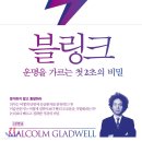 블링크