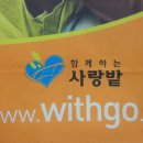 솔채메디칼