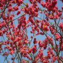 한계령의아침 이미지