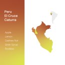 워시드카 이미지