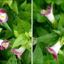 논현초등학교 이미지