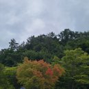 여주-0911 이미지