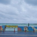 GS25함덕골든튤립 이미지