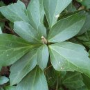 용정공원(상) 이미지