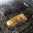 태풍카센타 이미지